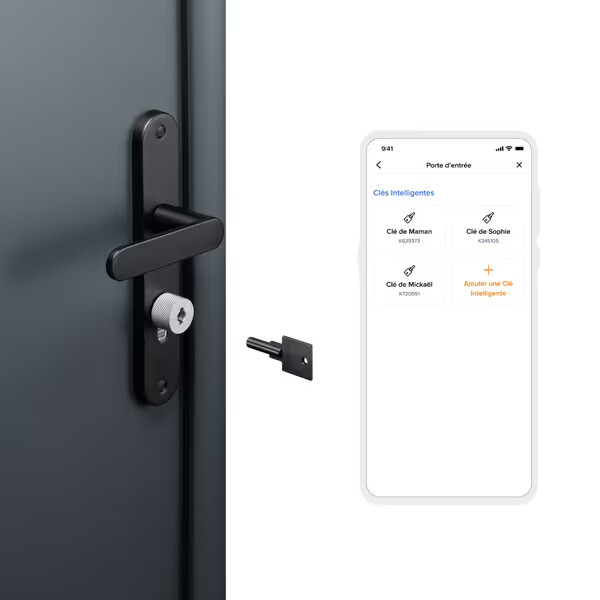 additional smart key